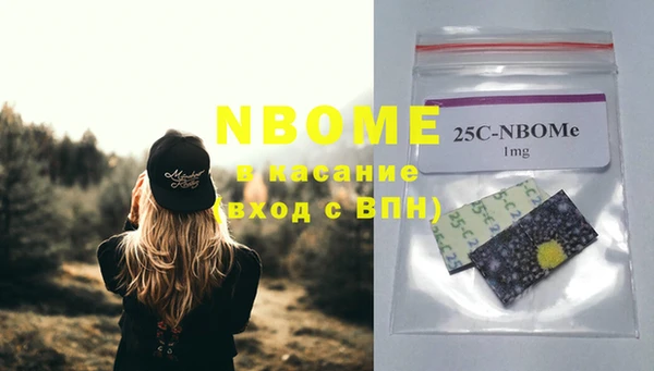 индика Балабаново