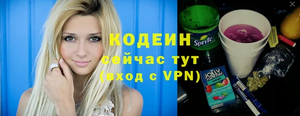 индика Балабаново