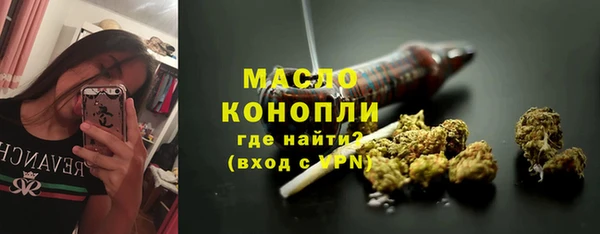 индика Балабаново