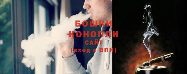 ГАЛЛЮЦИНОГЕННЫЕ ГРИБЫ Балахна