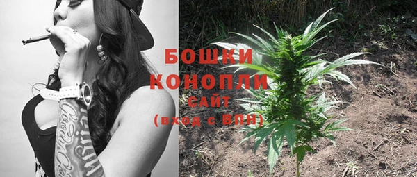 ГАЛЛЮЦИНОГЕННЫЕ ГРИБЫ Балахна