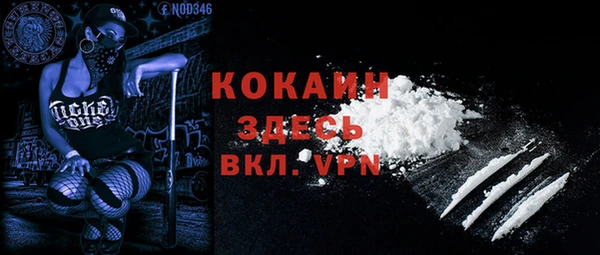 индика Балабаново