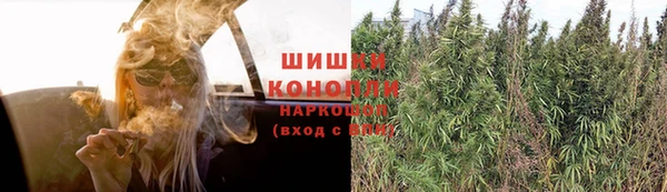ГАЛЛЮЦИНОГЕННЫЕ ГРИБЫ Балахна