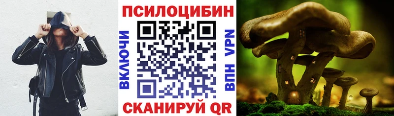 что такое   Глазов  Галлюциногенные грибы мицелий 